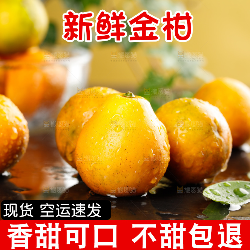 深底上的金柑