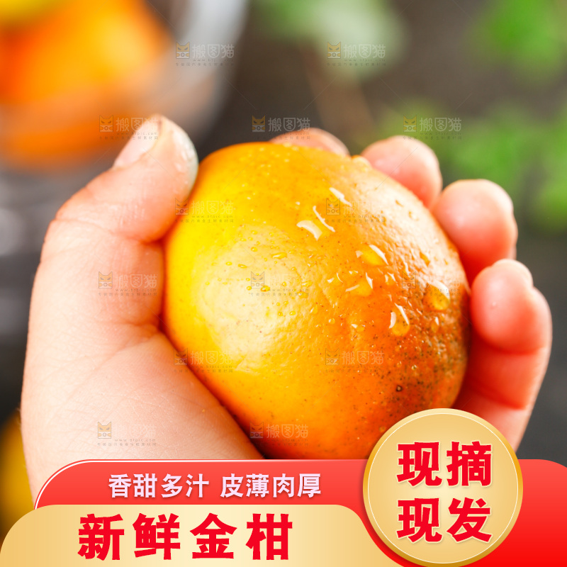 深底上的金柑