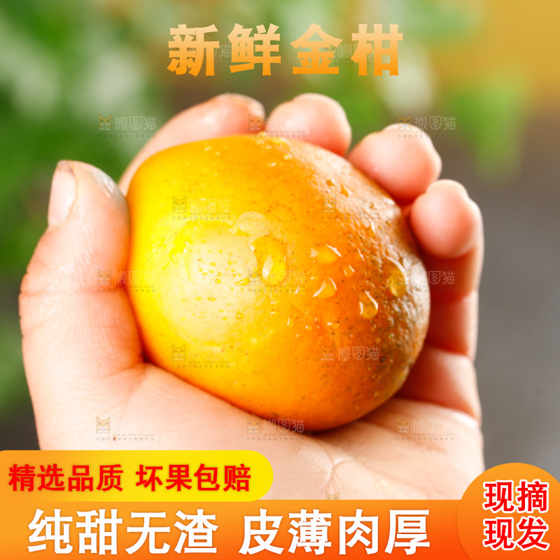 深底上的金柑