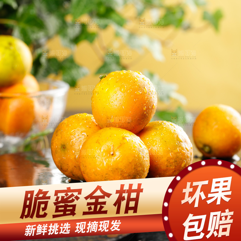 深底上的金柑