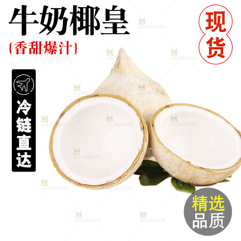 白底上的牛奶椰皇