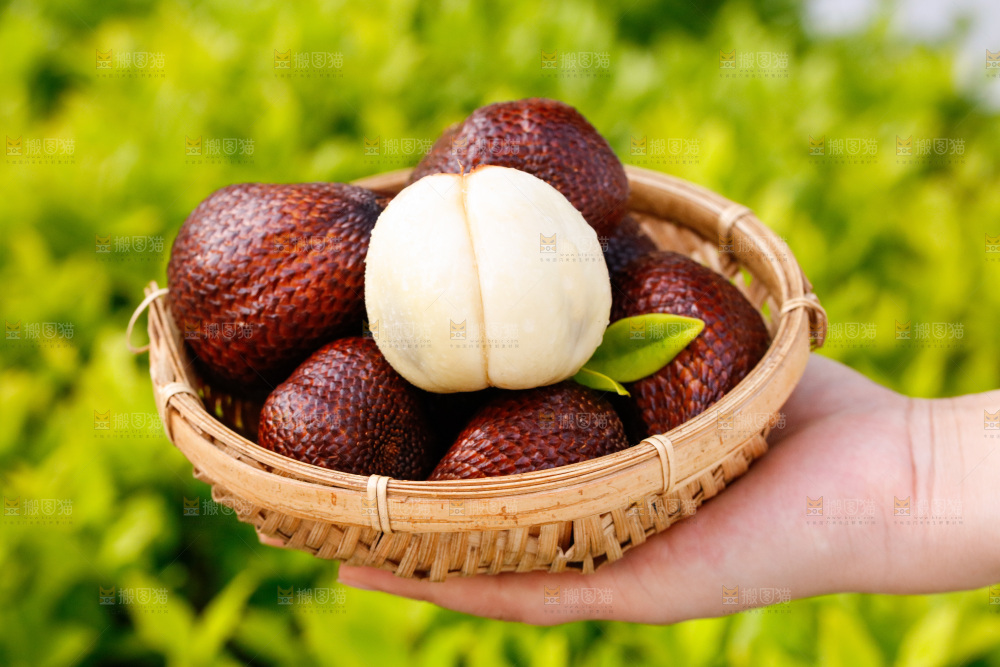 手里拿着蛇皮果