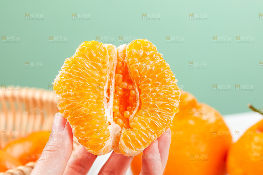 浅底上的春见耙耙柑