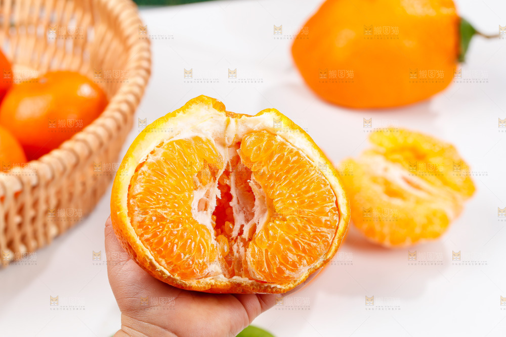 浅底上的春见耙耙柑