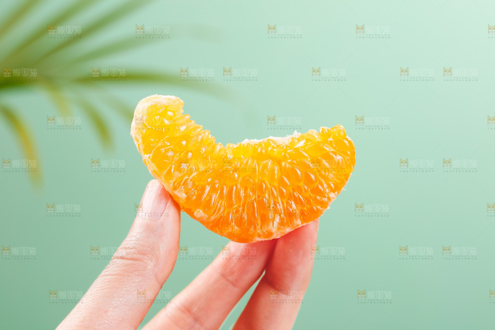 浅底上的春见耙耙柑