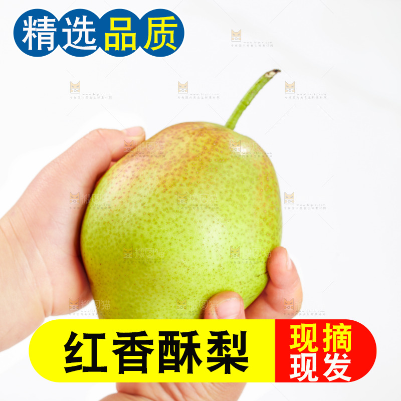 白底上的红香酥梨