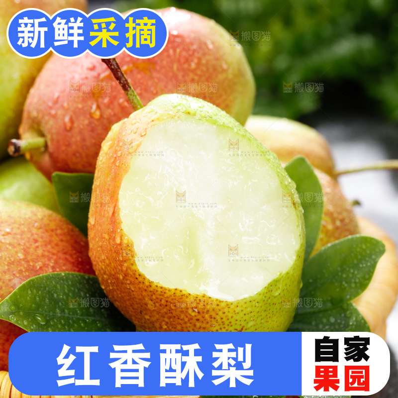 深底上的红香酥梨