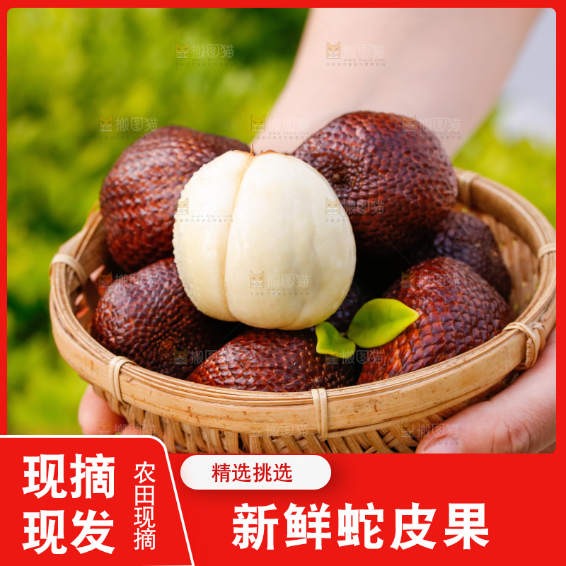 手里拿着蛇皮果