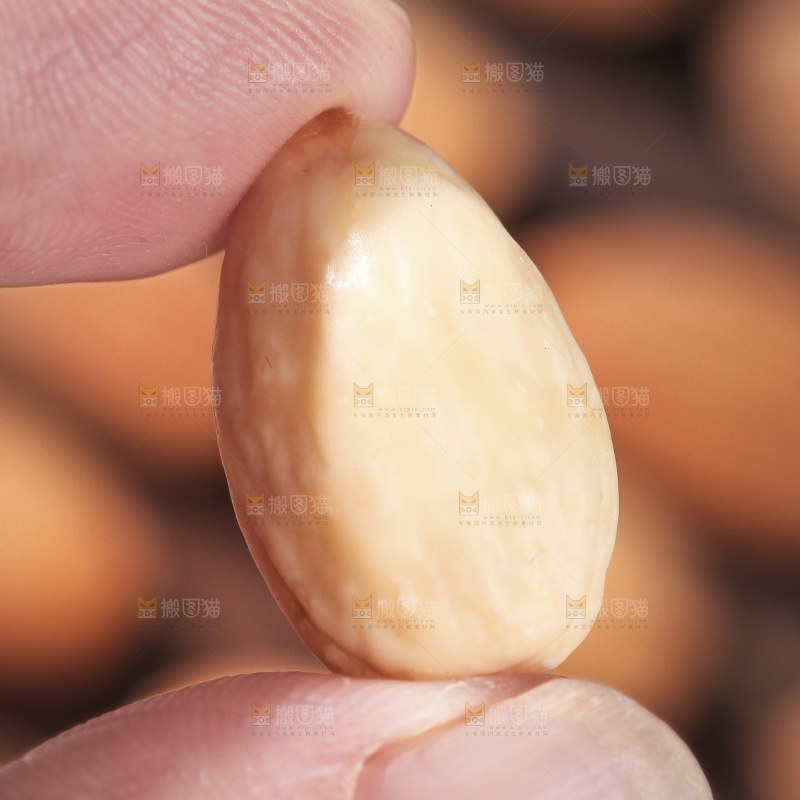 深底上的扁桃仁
