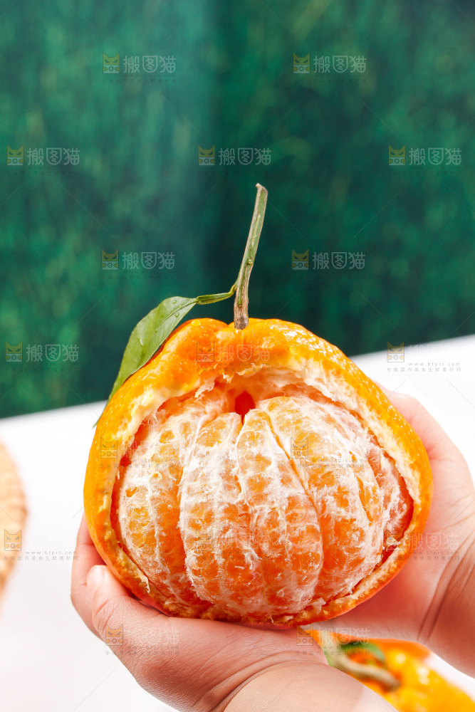 浅底上的春见耙耙柑