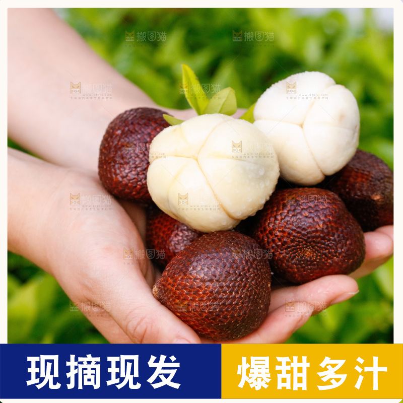 手里拿着蛇皮果