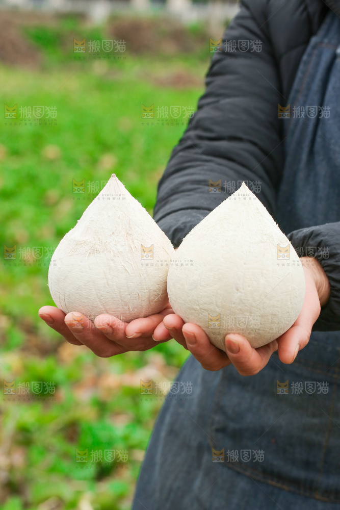 手里拿着牛奶椰皇