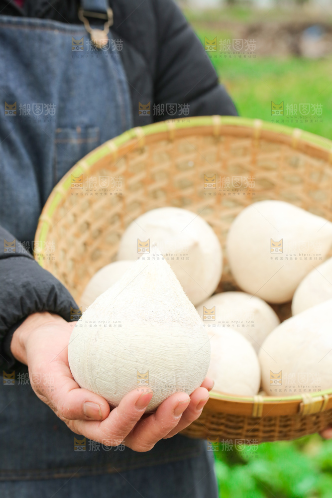 手里拿着牛奶椰皇