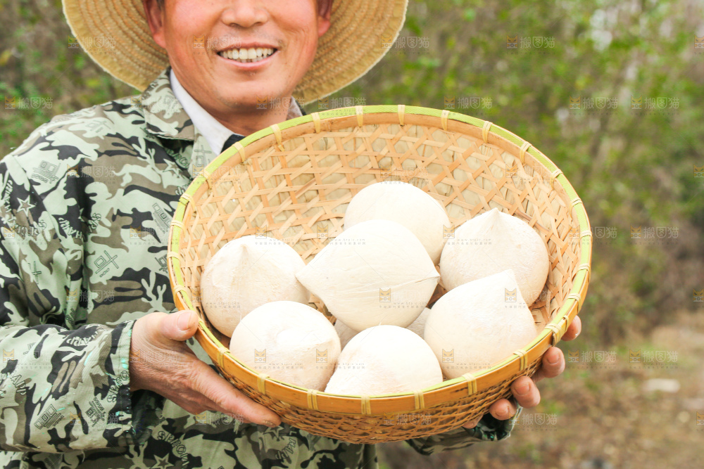 手里拿着牛奶椰皇