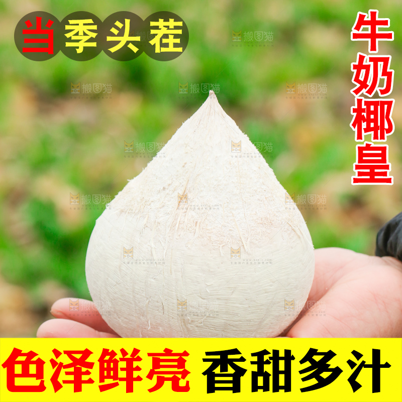 手里拿着牛奶椰皇