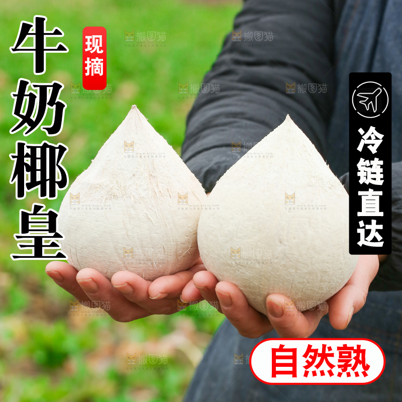 手里拿着牛奶椰皇