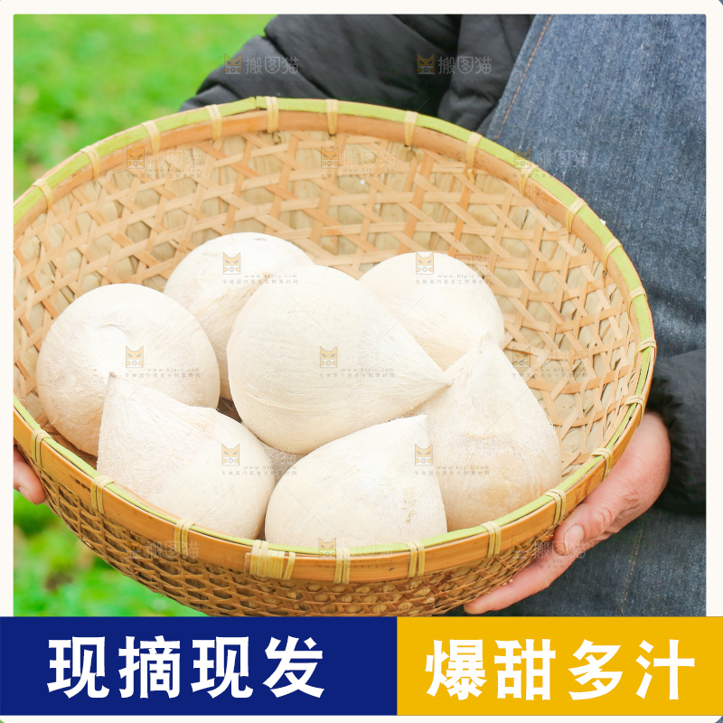 手里拿着牛奶椰皇
