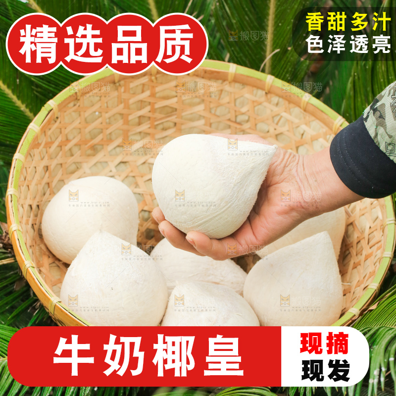 手里拿着牛奶椰皇