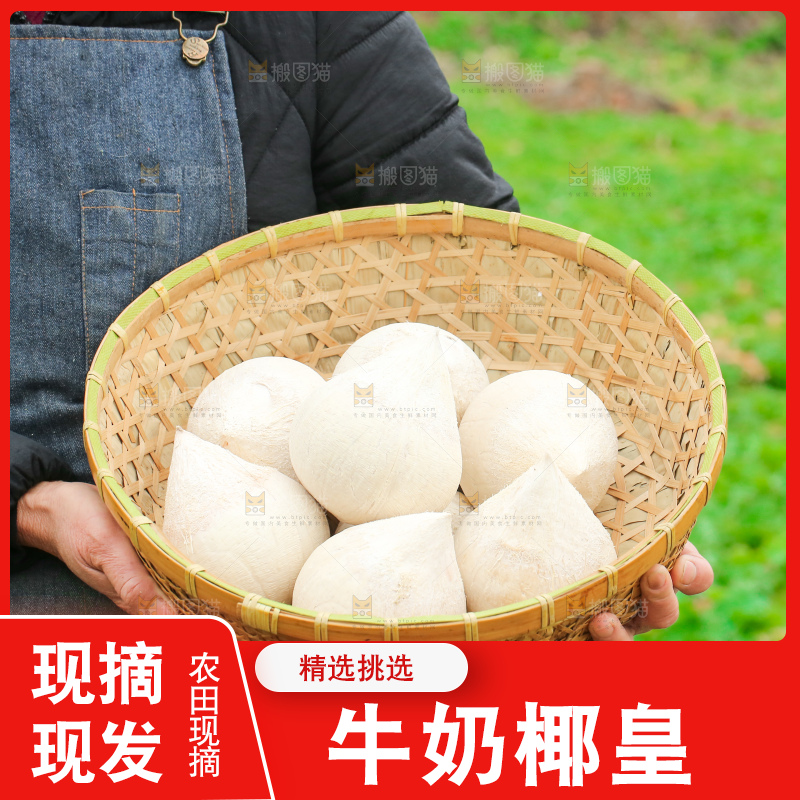 手里拿着牛奶椰皇