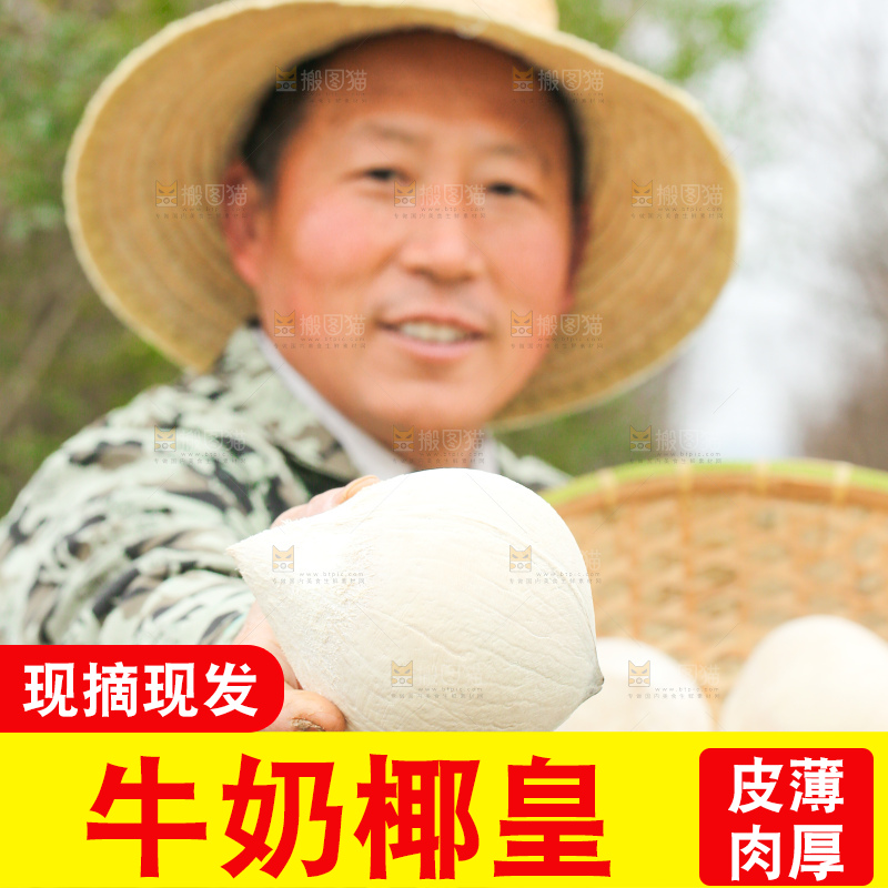 手里拿着牛奶椰皇