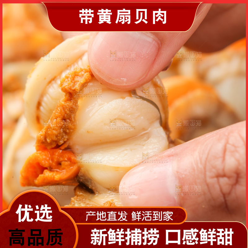 深底上的带黄扇贝肉