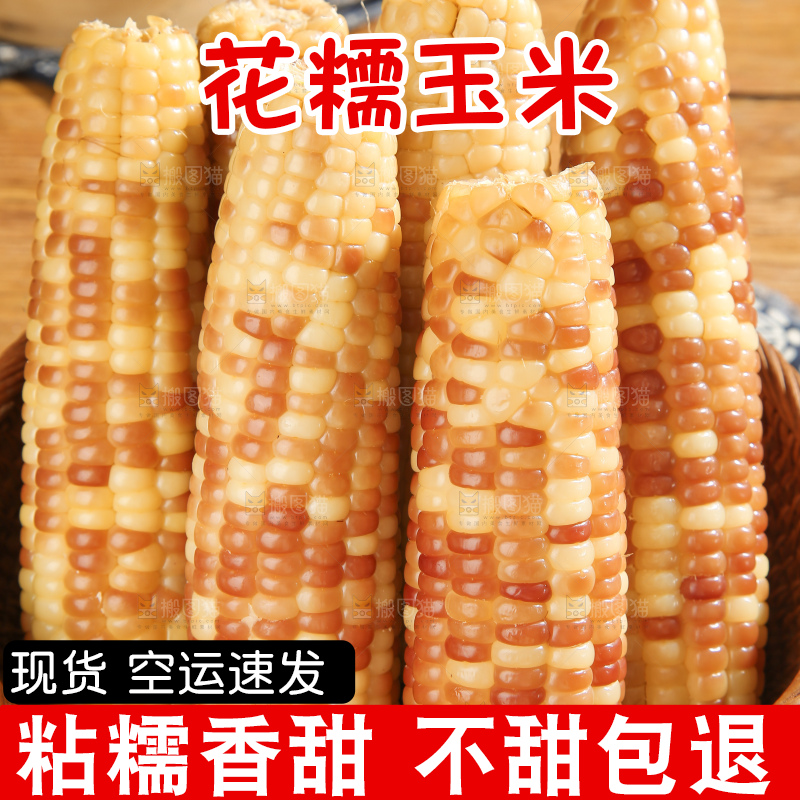 深底上的花糯玉米