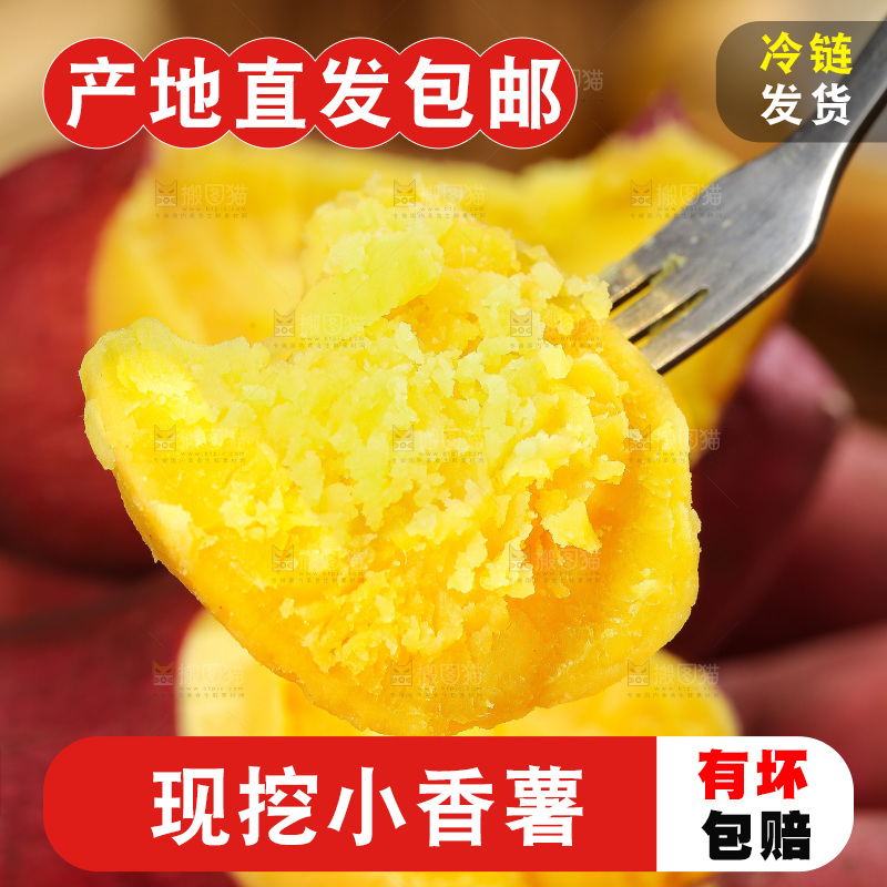 深底上的天目山小香薯