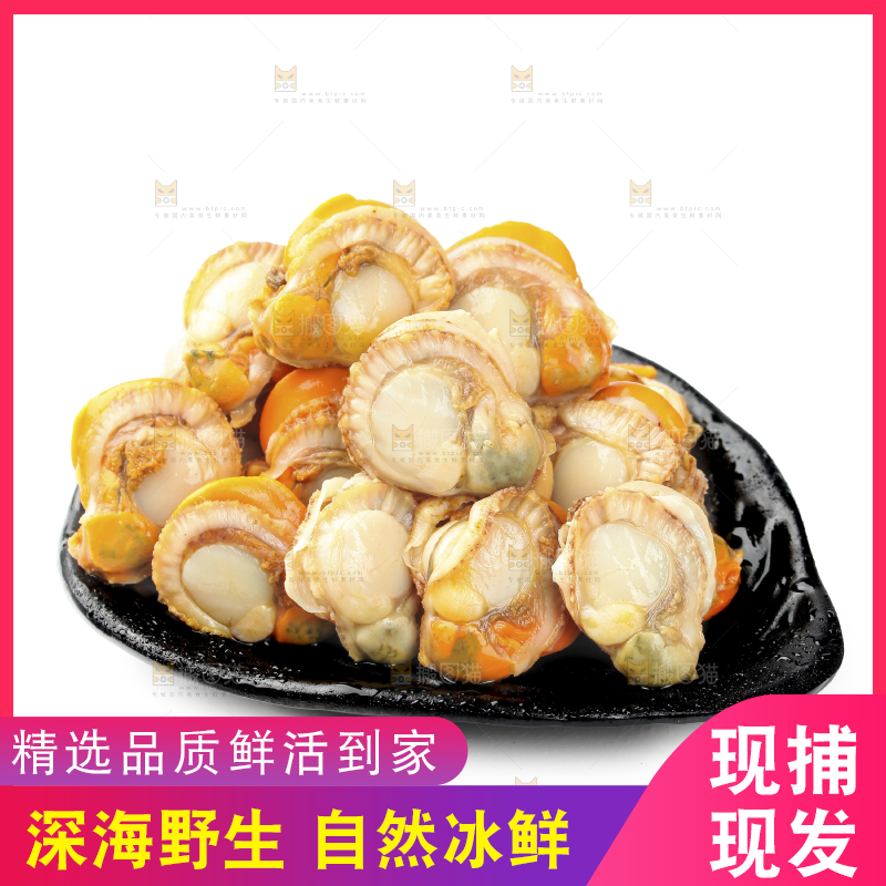 白底上的带黄扇贝肉