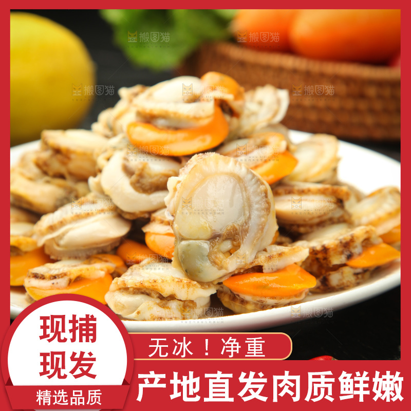 深底上的带黄扇贝肉