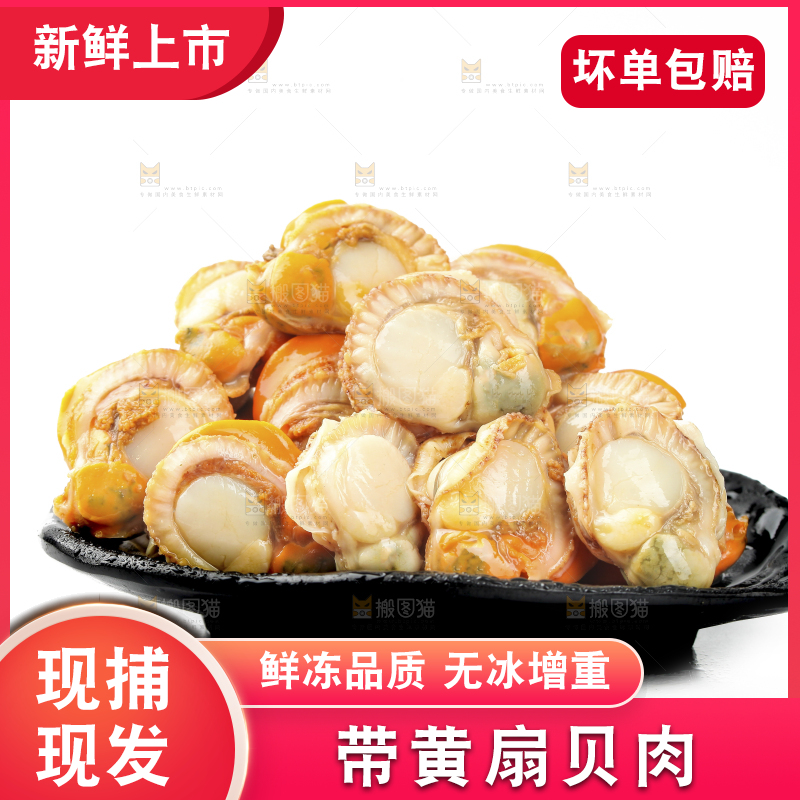 白底上的带黄扇贝肉