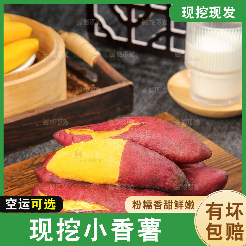 深底上的天目山小香薯