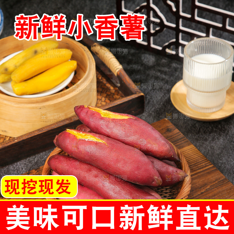 深底上的天目山小香薯