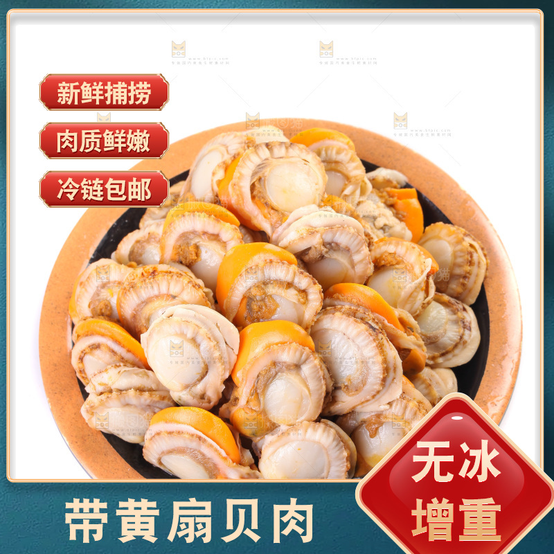 白底上的带黄扇贝肉
