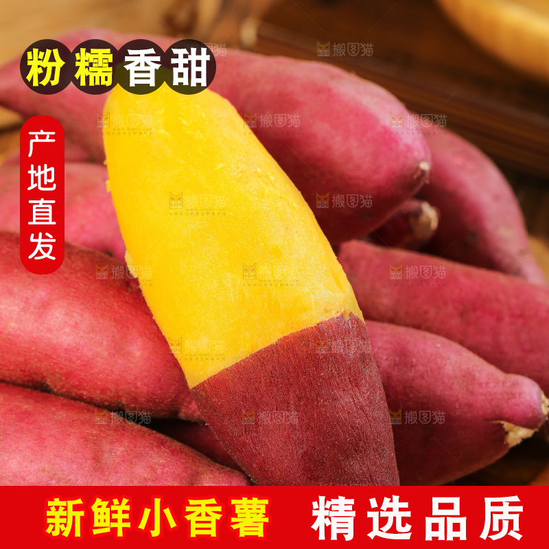 深底上的天目山小香薯