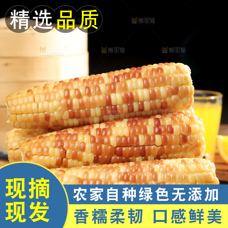 深底上的花糯玉米