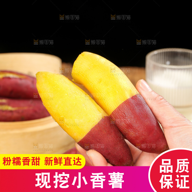 深底上的天目山小香薯