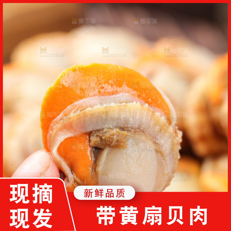 深底上的带黄扇贝肉