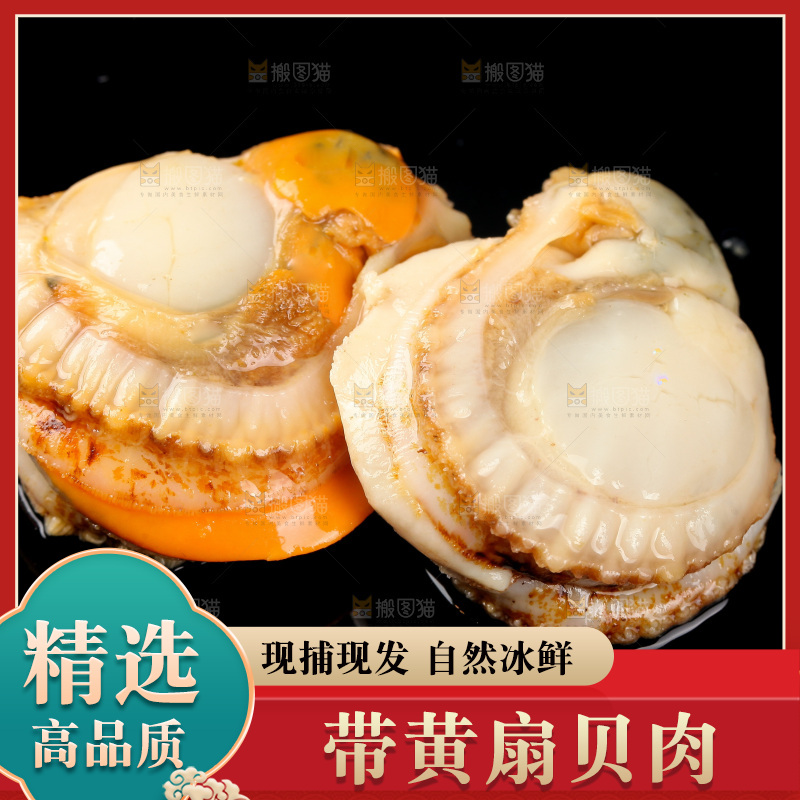 深底上的带黄扇贝肉