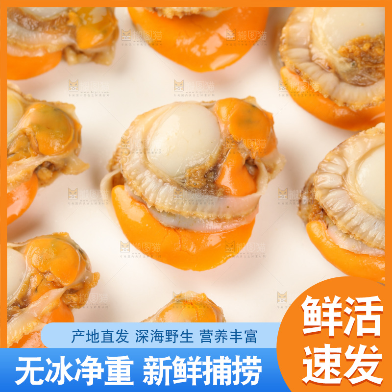 深底上的带黄扇贝肉