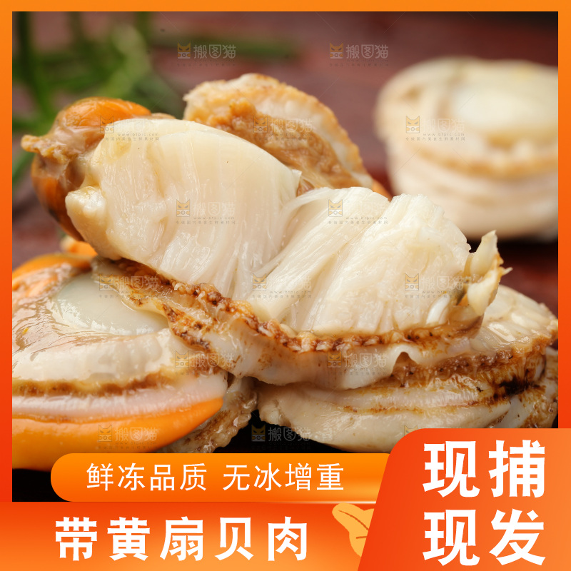 深底上的带黄扇贝肉
