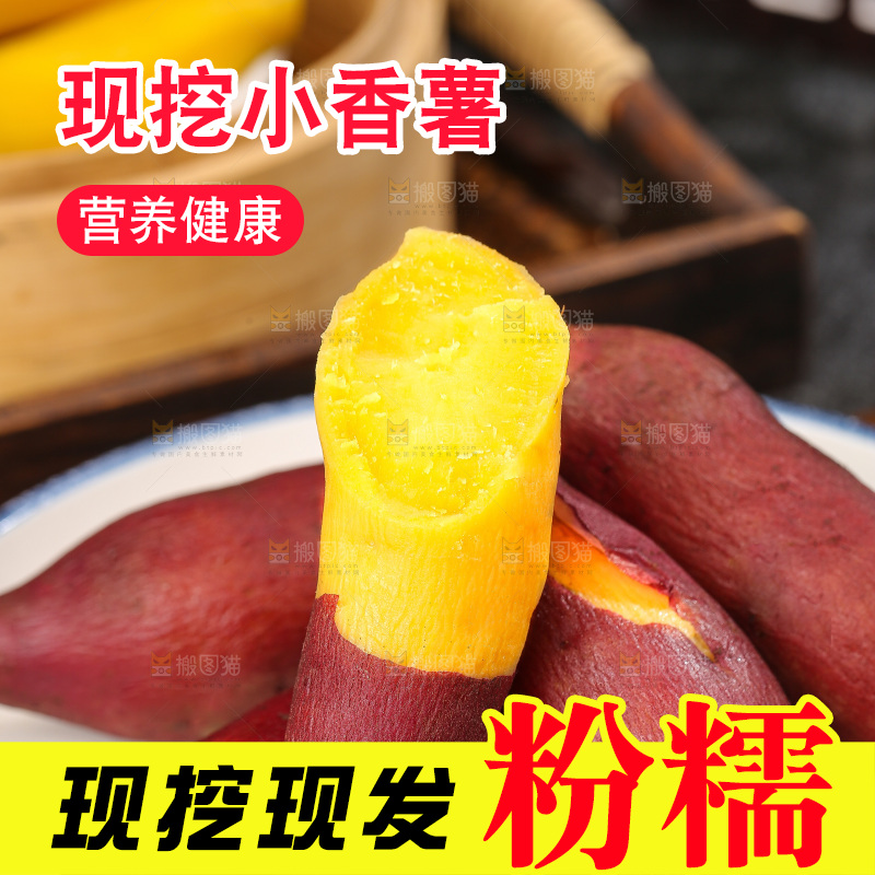 深底上的天目山小香薯