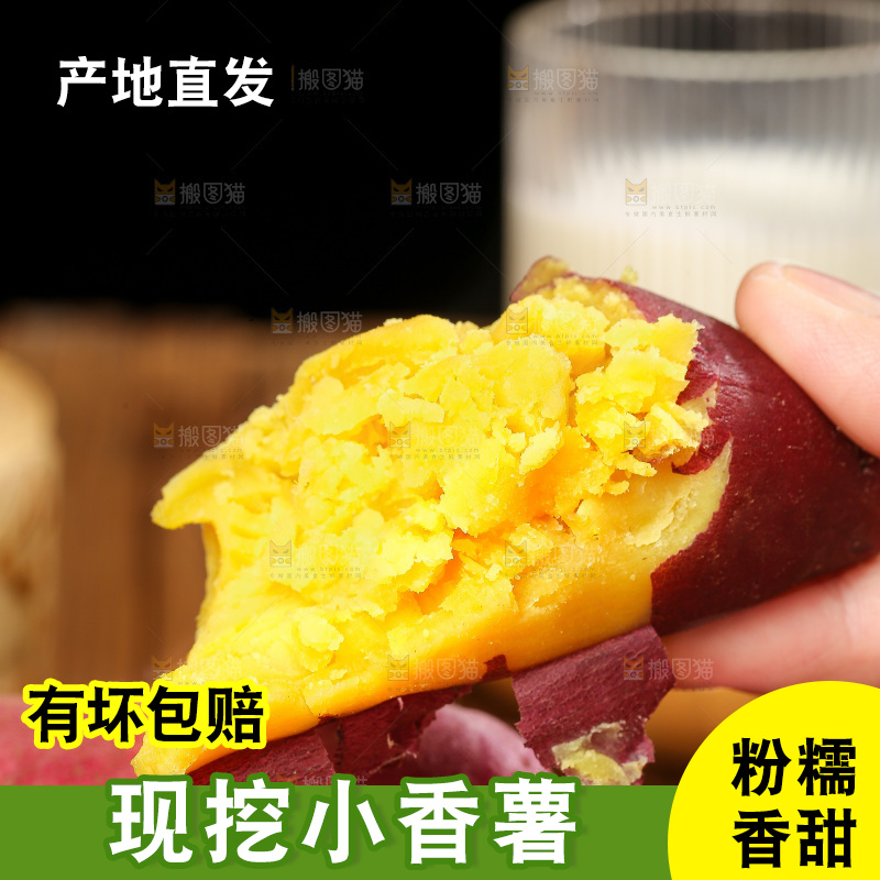 深底上的天目山小香薯