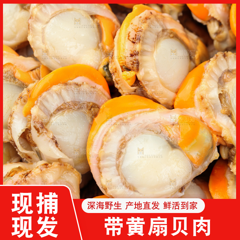 深底上的带黄扇贝肉