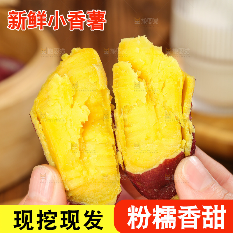 深底上的天目山小香薯