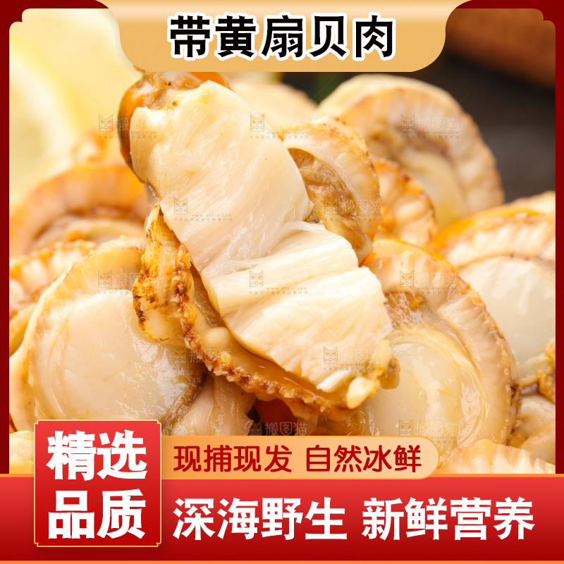 深底上的带黄扇贝肉