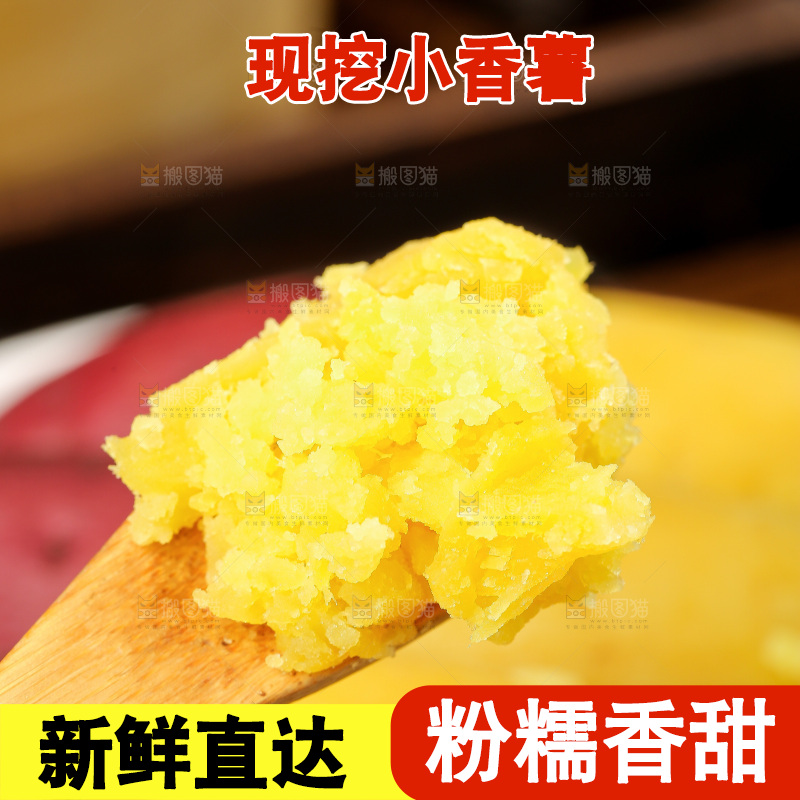 深底上的天目山小香薯