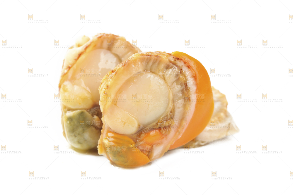 白底上的带黄扇贝肉