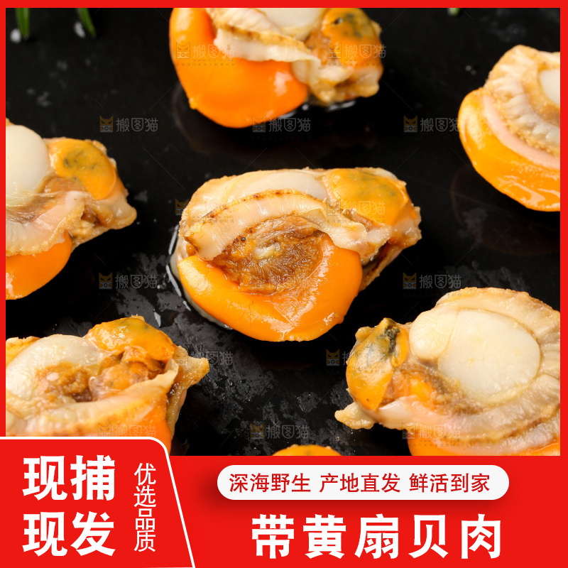 深底上的带黄扇贝肉