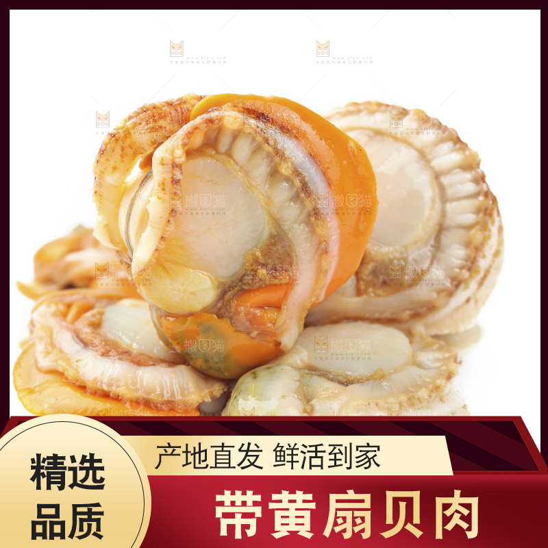 白底上的带黄扇贝肉