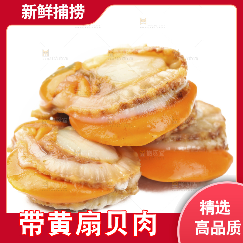 白底上的带黄扇贝肉